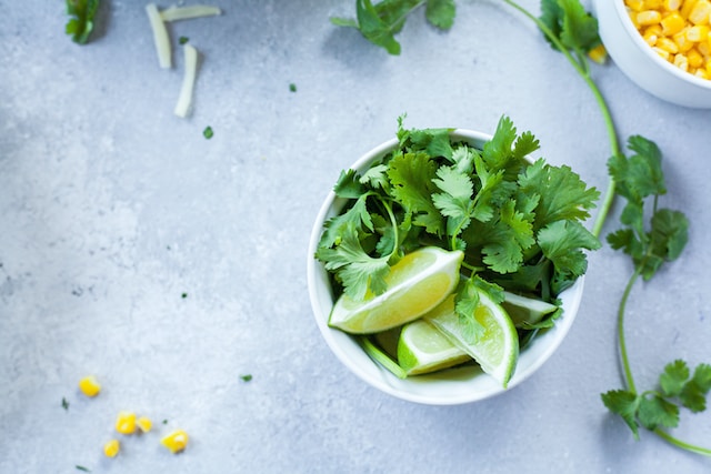 Fresh and Flavorful: The Ultimate Guide to Growing Cilantro Indoors